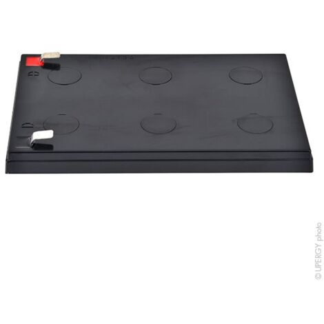 Yucel - Batterie plomb AGM YUCEL Y12-12 FR 12V 12Ah F6.35