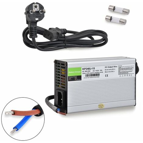 NX - Chargeur Lithium Fer Phosphate 4S 12V 10A (1/2)