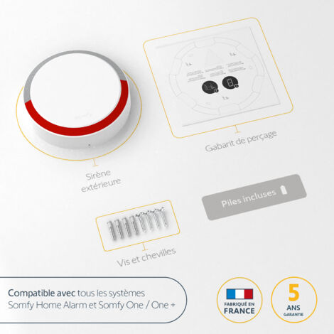 SOMFY 2401491 - Sirène extérieure sans fil - Compatible Home Alarm (Advanced) et Somfy One (+) - 112dB & Flash lumineux