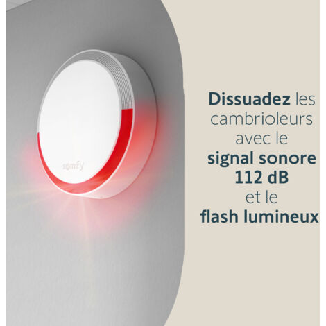 SOMFY 2401491 - Sirène extérieure sans fil - Compatible Home Alarm (Advanced) et Somfy One (+) - 112dB & Flash lumineux