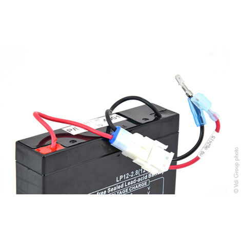 Tashima - Batterie tondeuse 580764901 12V 2.8Ah - LP12-2.8PC61399602200070196
