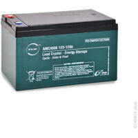 NX – Batterie lead crystal 12V 12Ah – Technologie AGM étanche – Compatible SXT 1000 Turbo et systèmes d'alarme