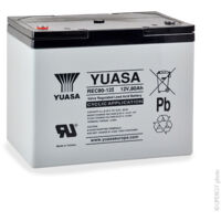 Yuasa - Batterie plomb AGM YUASA REC80-12 12V 80Ah M6-F