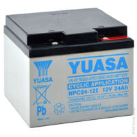 Yuasa - Batterie plomb AGM YUASA NPC24-12I 12V 24Ah M5-F