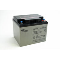 Yucel - Batterie plomb AGM YUCEL Y38-12IFR 12V 38Ah M5-F