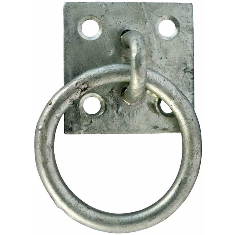 Taurus Ring on Plate 50mm (2inch) Galvanised - Pre-Packed (1 Pack)