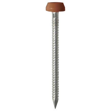 TIMCO Polymer Headed Pins A4 Stainless Steel Clay Brown - 30mm