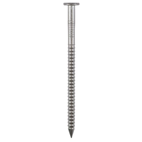 Stainless ring shank on sale nails