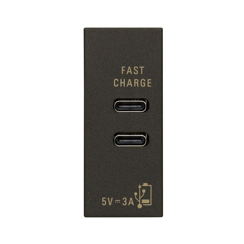 Caricatore USB con 2 porte Tipo C 5V 3A Vimar Linea Bianca 30292.CCB