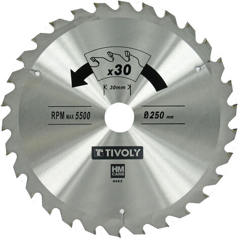 Tivoly • Lame de Scie Circulaire • Ø250mm • 30 Dents en Carbure • Pour Scie Portative • Pour Découpe du Bois