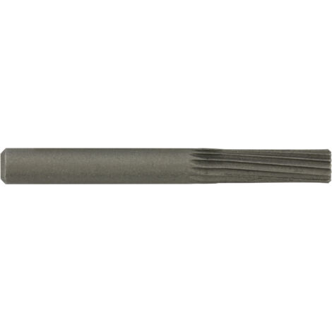 Tivoly • Rape sur tige bout plat Ø 6mm queue 6mm • Pour perceuse-visseuse • Acier HCS haute teneur en carbone • Adapté au travail de tout type de bois (1/3)