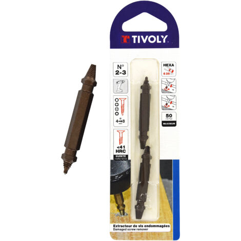Tivoly •  Lot de 2 Extracteurs de vis endommagées 2 doubles pointes •  une pointe perçage, une pointe extraction