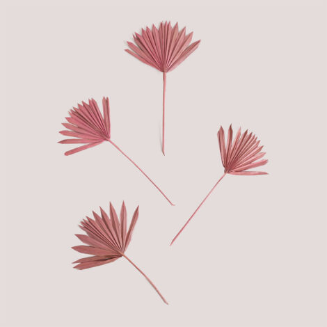 SKLUM Packung mit 4 dekorativen getrockneten Urpek-Zweigen Rosa Magnolie                                   (1/5)