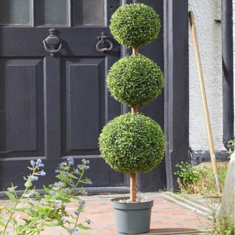 Trio Topiary Tree 120cm (1/5)