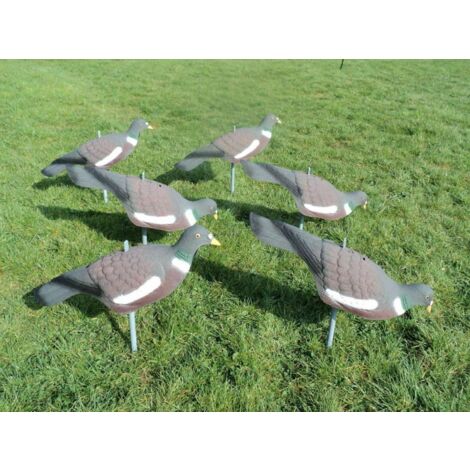 6 Pigeon Decoy Bird Painted Shell High Qualitys With Pegs