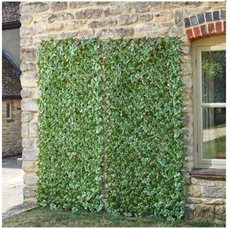 Ivy Leaf Trellis (180cm x 90cm)