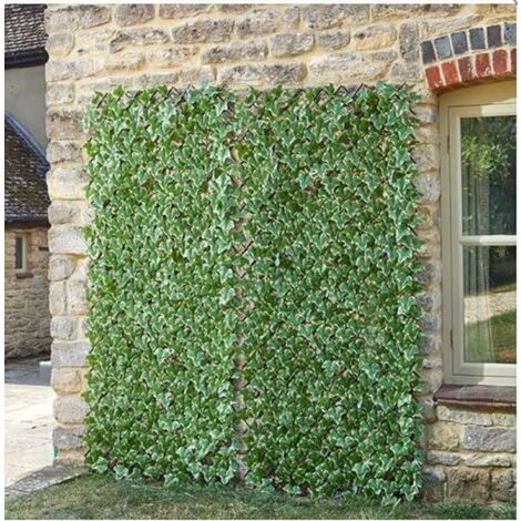 Ivy Leaf Trellis (180cm x 90cm)
