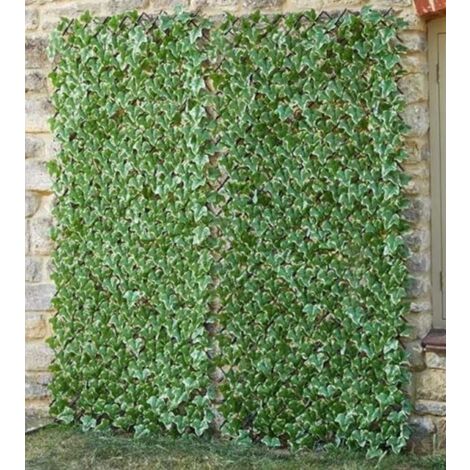 Ivy Leaf Trellis (180cm x 90cm)