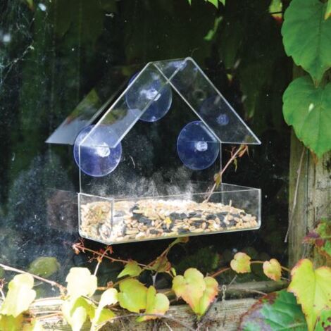 Window Bird Feeder (1/5)