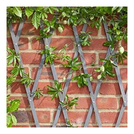Heavy Duty Plant Support Wooden Expanding Trellis for Climbing Plants Garden Decoration Outdoors Extend or Shorten Support Climbing Plants Easy Install Wall Mount (Slate Grey 1.8mx0.6m)