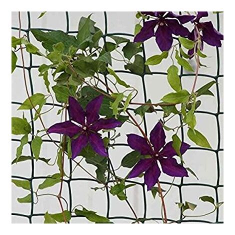Climbing Plant & Fencing Garden Mesh Outdoor Indoor Fencing Plant Support Plastic Mesh Netting for Flowers Plants Protection Allotment Cover Pest Deterrent Heavy Duty Brown � 50mm, 1m x 5m (1/2)