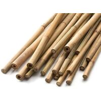 90cm Bamboo Canes 20 pack