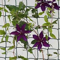 Climbing Plant & Fencing Garden Mesh Outdoor Indoor Fencing Plant Support Plastic Mesh Netting for Flowers Plants Protection Allotment Cover Pest Deterrent Heavy Duty Brown � 50mm, 1m x 5m
