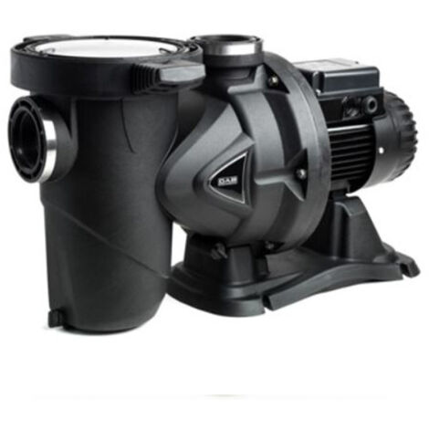 Pompa per Piscina DAB Euroswim 150 T 60179850 (1/2)
