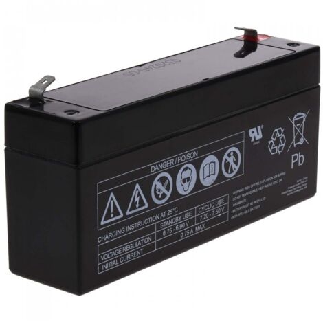 Batería Plomo AGM FIAMM FG10301 6V 3Ah (1/3)