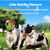 Dog Toy Ball, bite resistant Non Toxic for Dogs