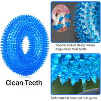 Dog Toy, Squeak Toys for Dogs, Durable Chew Toys for Dogs, Water Pool Toy for Small Dogs, Dog Toys for Boredom, Teeth Cleaning, Natural Rubber, Blue