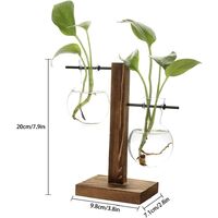 Vintage hydroponic vases, transparent vase, wooden and glass frame for table plants, decoration for bonsai, B - Vase with 2 bulbs., 11.5 x 19.5cm