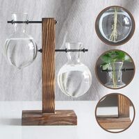 Vintage hydroponic vases, transparent vase, wooden and glass frame for table plants, decoration for bonsai, B - Vase with 2 bulbs., 11.5 x 19.5cm