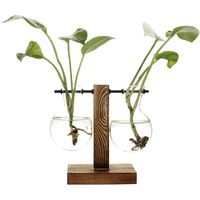 Vintage hydroponic vases, transparent vase, wooden and glass frame for table plants, decoration for bonsai, C - 2 bulb vase., 11.5 x 13.5cm