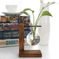 Vintage hydroponic vases, transparent vase, wooden and glass frame for table plants, decoration for bonsai, A - 1 bulb vase, 11.5 x 13.5 cm