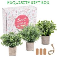3 Pack Mini Potted Fake Plants Artificial
