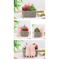 Home Decor Pot, Succulent Planter Flowerpot Decor for Home Office Desk (Couple Pig)
