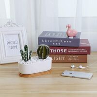 6.5 Inch Ceramic Plant Pots Indoor White Modern Oval Design Succulent Planter Pot/Cactus Plant Pot with Bamboo Tray