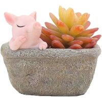 Home Decor Pot, Succulent Planter Flowerpot Decor for Home Office Desk (Thinking Pig)