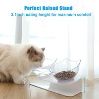 Cat Bowls, Cat Food Bowls Elevated, Double Kitty Bowls with 15°Tilted Raised Cat Dishes, Pet Feeding Bowl for Small cat and Puppy