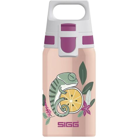 Flasche Shield ONE Flora, 500 ml