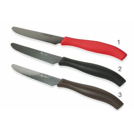 SET 6 COLTELLI TAVOLA 21CM PUNTA TONDA 3 COLORI ASSORTITI (1/5)