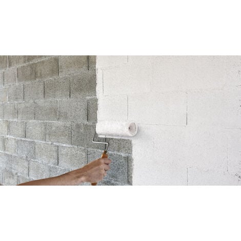 Anti-salpetre murs humides homeway 0.5l