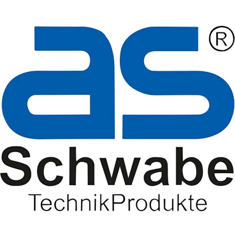 AS Schwabe 45034 Fiche électrique mâle avec terre plastique avec  interrupteur 230 V blanc IP20