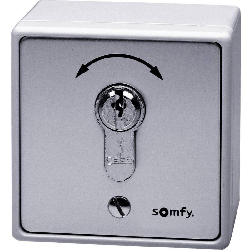 Somfy 1871148 Interrupteur à clé pour motorisation de portail encastré, montage apparent (en saillie)