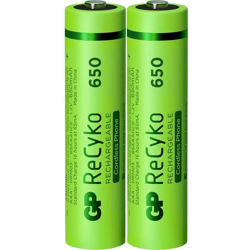 GP AA piles rechargeables NiMH 2100 mAh ReCyko 1,2 V (lot de