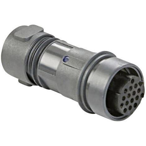 Connecteur de câble mâle série Buccaneer 6000 Bulgin Buccaneer 6000 PXP6011/16P/CR/0910 1 pc(s) (1/2)