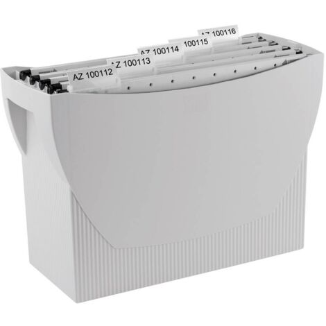 HAN Boîte pour dossiers suspendus SWING 1900-11 gris clair 1 pc(s) D997711