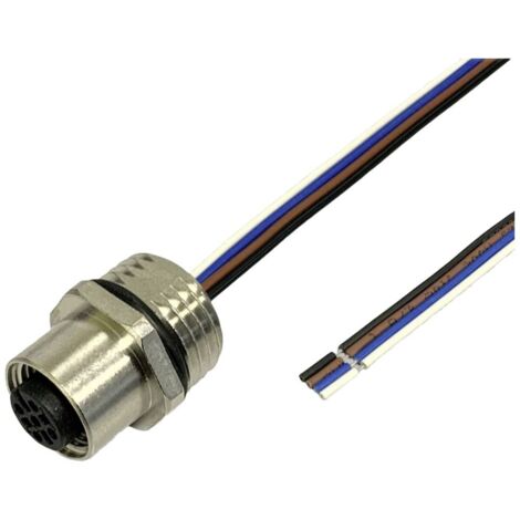 BKL Electronic 2703008 Prise encastrée pour capteur/actionneur M12 0.5 m Nombre de pôles: 4.5 1 pc(s) C748492 (1/2)