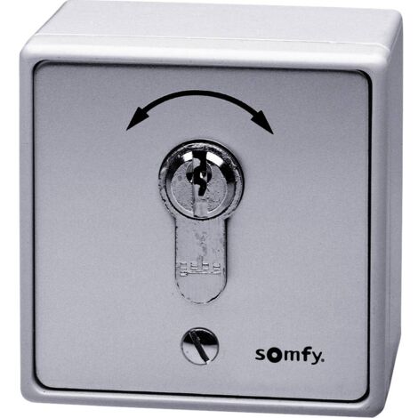 Somfy 1871148 Interrupteur à clé pour motorisation de portail encastré, montage apparent (en saillie)